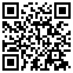 在线汽车驾驶汉化版下载安装|在线汽车驾驶汉化版v1.32下载